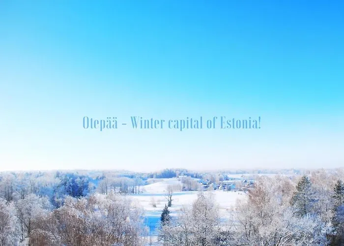 Anette's House بيت ضيافة Otepää